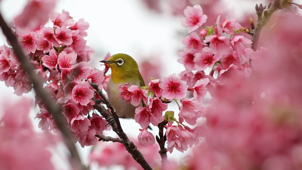 RF 75-300mm f4-5.6 sample 2